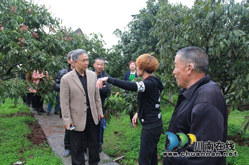 省农技协到云龙镇调研农技协工作(图1) 省农技协到云龙镇调研农技协工作(图1)