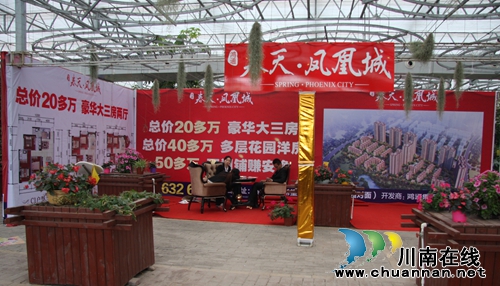 泸县龙桥百花洲&nbsp;万千游人踏春游(图12)