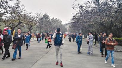 职称外语开考&nbsp;四川万人缺席(图1)