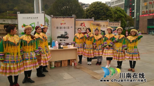 古蔺马嘶乡成功举办2016古蔺.马嘶茶文化节(图1) 古蔺马嘶乡成功举办2016古蔺.马嘶茶文化节(图1)