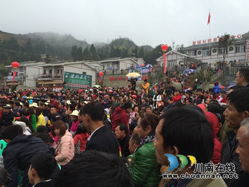 古蔺马嘶乡成功举办2016古蔺.马嘶茶文化节(图3) 古蔺马嘶乡成功举办2016古蔺.马嘶茶文化节(图3)