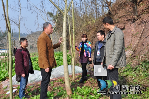 郑英维：念好种养致富经&nbsp;带动周边一片人(图3)