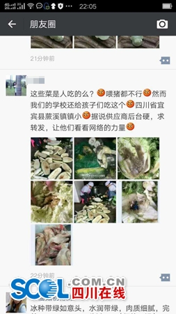 宜宾一村小现“问题菜”！学校拒收&nbsp;政府调查(图1)