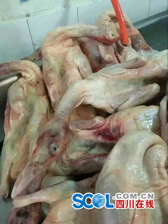 宜宾一村小现“问题菜”！学校拒收&nbsp;政府调查(图4)