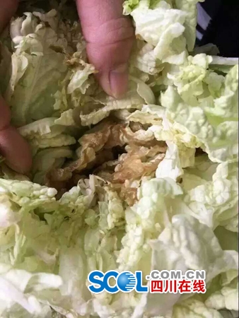 宜宾一村小现“问题菜”！学校拒收&nbsp;政府调查(图3)