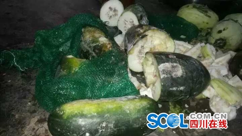宜宾一村小现“问题菜”！学校拒收&nbsp;政府调查(图5)