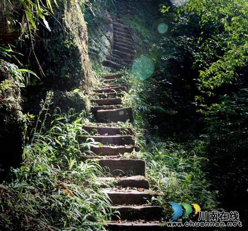 10元!去江津四面山:游5A山水 登爱情天梯(图9) 10元!去江津四面山:游5A山水 登爱情天梯(图9)