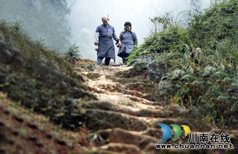10元!去江津四面山:游5A山水 登爱情天梯(图8) 10元!去江津四面山:游5A山水 登爱情天梯(图8)