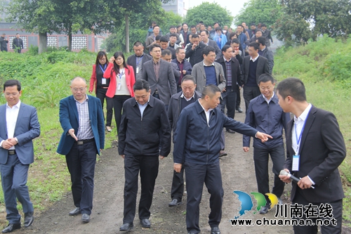泸州市副市长丁湘率队调研云龙镇污水处理厂(图1) 泸州市副市长丁湘率队调研云龙镇污水处理厂(图1)