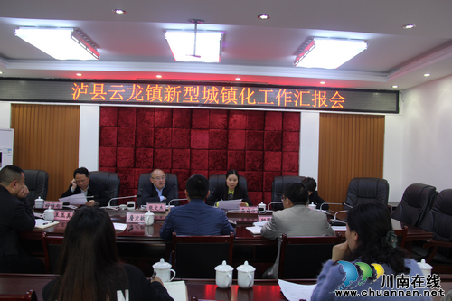 泸县副县长张文杰到云龙镇调研新型城镇化建设工作(图1)