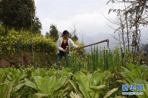 清明节重访芦山灾区 触摸那些坚强与温暖(图5) 清明节重访芦山灾区 触摸那些坚强与温暖(图5)