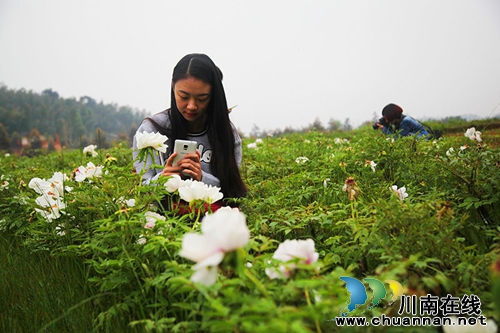 泸州纳溪:荒山变身农业园 群众增收有新路(图1) 泸州纳溪:荒山变身农业园 群众增收有新路(图1)