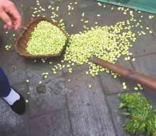 网传自贡两城管抓扯卖菜老人 回复:文明执法(图2) 网传自贡两城管抓扯卖菜老人 回复:文明执法(图2)