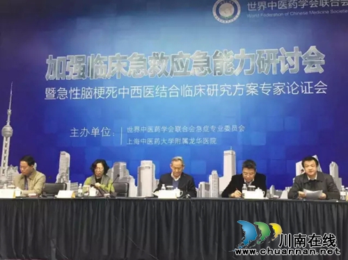 西南医大附属中医院院长杨思进参加国际合作联合攻关项目研讨会(图1)