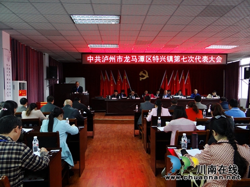特兴镇召开第七次党代会 产生新一届党委班子(图2) 特兴镇召开第七次党代会 产生新一届党委班子(图2)