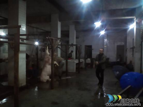 毗卢镇:开展生猪定点屠宰场安全生产大检查(图1) 毗卢镇:开展生猪定点屠宰场安全生产大检查(图1)