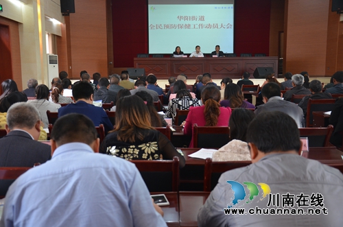 华阳街道召开全民预防保健工作动员会(图1)