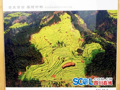 宜宾展出川南最早油菜花美术摄影作品(图2) 宜宾展出川南最早油菜花美术摄影作品(图2)