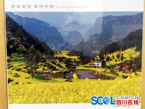 宜宾展出川南最早油菜花美术摄影作品(图3) 宜宾展出川南最早油菜花美术摄影作品(图3)