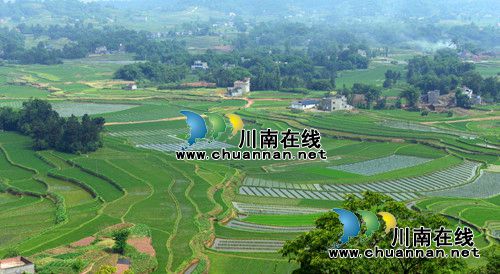 董允坝:现代农业的“江阳样本”(图3) 董允坝:现代农业的“江阳样本”(图3)