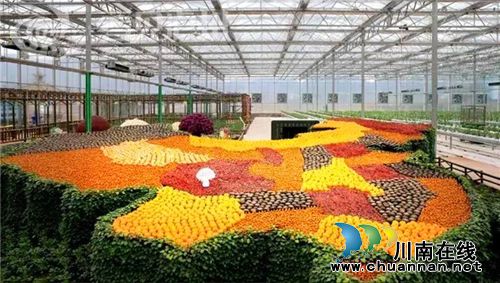 董允坝:现代农业的“江阳样本”(图2) 董允坝:现代农业的“江阳样本”(图2)
