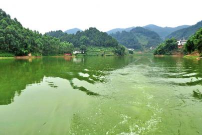 央视两次聚焦“绿色宜宾”&nbsp;水土流失治理经验(图2)