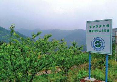 央视两次聚焦“绿色宜宾”&nbsp;水土流失治理经验(图3)
