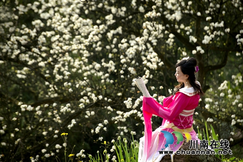 江阳区丹林“梨花飞舞”摄影大赛评选揭晓(图4) 江阳区丹林“梨花飞舞”摄影大赛评选揭晓(图4)