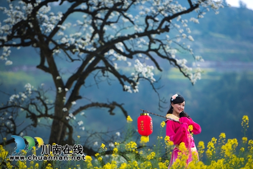 江阳区丹林“梨花飞舞”摄影大赛评选揭晓(图8) 江阳区丹林“梨花飞舞”摄影大赛评选揭晓(图8)