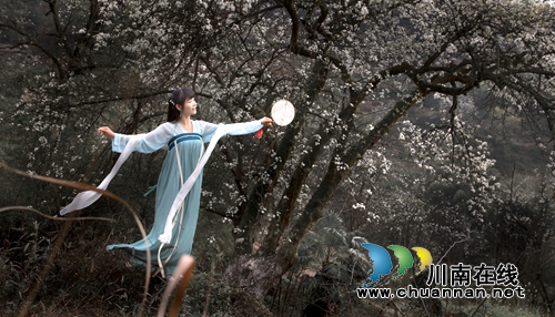 江阳区丹林“梨花飞舞”摄影大赛评选揭晓(图9) 江阳区丹林“梨花飞舞”摄影大赛评选揭晓(图9)