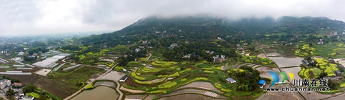 江阳区丹林“梨花飞舞”摄影大赛评选揭晓(图14) 江阳区丹林“梨花飞舞”摄影大赛评选揭晓(图14)