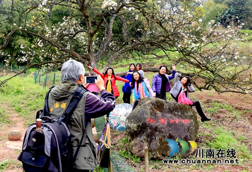 江阳区丹林“梨花飞舞”摄影大赛评选揭晓(图20) 江阳区丹林“梨花飞舞”摄影大赛评选揭晓(图20)