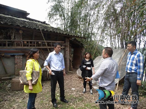 合江县副县长廖俊深入地灾点检查地灾防治工作(图2) 合江县副县长廖俊深入地灾点检查地灾防治工作(图2)
