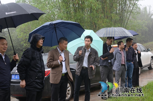 泸州市委常委刘云调研合江县回洞桥村扶贫工作(图1)