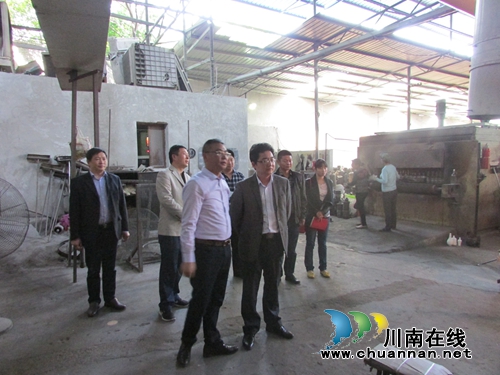 泸县安监局到嘉明镇开展督查安全责任落实(图2)