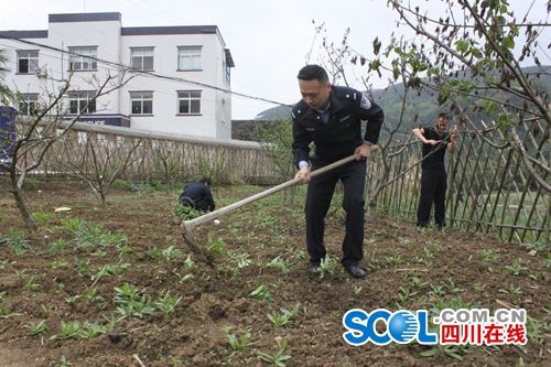 民警来种田 自贡东兴派出所有个“开心农场”(图1) 民警来种田 自贡东兴派出所有个“开心农场”(图1)