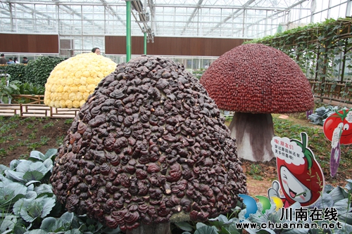 4月28日 四川省首届蔬菜品赏会在泸州开幕(图13) 4月28日 四川省首届蔬菜品赏会在泸州开幕(图13)