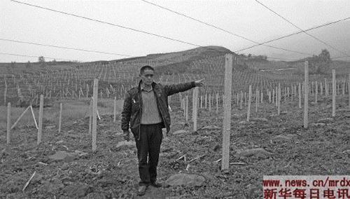 芦山灾区：普通人大爱汇成“站起来”的魔力(图2)