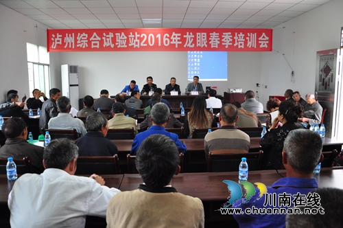 泸州市龙眼春季培训会在泸县召开(图1) 泸州市龙眼春季培训会在泸县召开(图1)