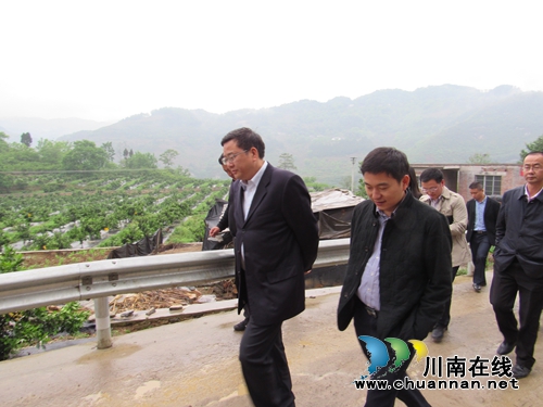 叙永县委书记陈景强调研水潦乡精准脱贫工作(图3)