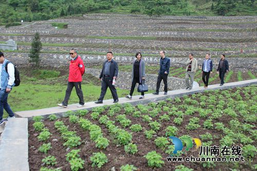 泸州叙永县水土保持工程成效获财政部肯定(图3)