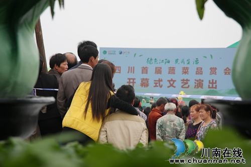 四川首届蔬菜品赏会在泸州掀开“红盖头”(图4) 四川首届蔬菜品赏会在泸州掀开“红盖头”(图4)