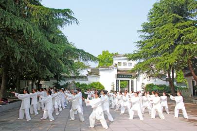 悬壶济世百年&nbsp;习武更习德&nbsp;内江王家拳申遗(图1)
