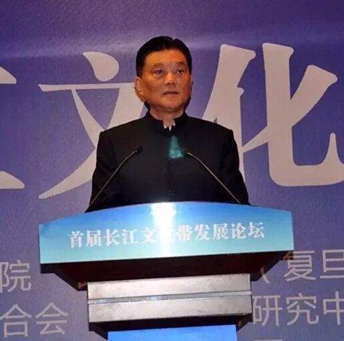 泸州又冒尖了一回!“长江文化带”在泸呼啸出(图5) 泸州又冒尖了一回!“长江文化带”在泸呼啸出(图5)