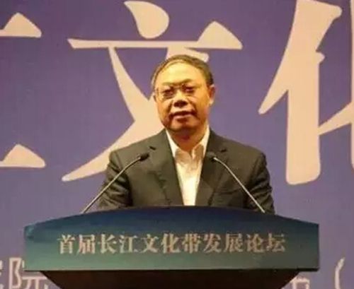 泸州又冒尖了一回!“长江文化带”在泸呼啸出(图6) 泸州又冒尖了一回!“长江文化带”在泸呼啸出(图6)