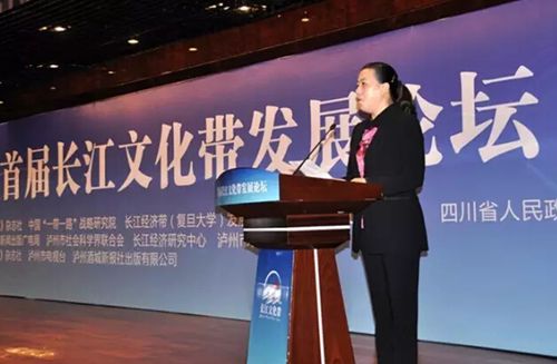 泸州又冒尖了一回!“长江文化带”在泸呼啸出(图7) 泸州又冒尖了一回!“长江文化带”在泸呼啸出(图7)