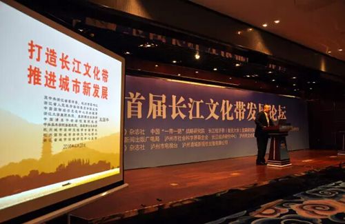 泸州又冒尖了一回!“长江文化带”在泸呼啸出(图8) 泸州又冒尖了一回!“长江文化带”在泸呼啸出(图8)