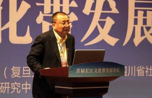 泸州又冒尖了一回!“长江文化带”在泸呼啸出(图10) 泸州又冒尖了一回!“长江文化带”在泸呼啸出(图10)