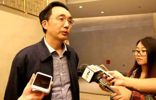 泸州又冒尖了一回!“长江文化带”在泸呼啸出(图11) 泸州又冒尖了一回!“长江文化带”在泸呼啸出(图11)