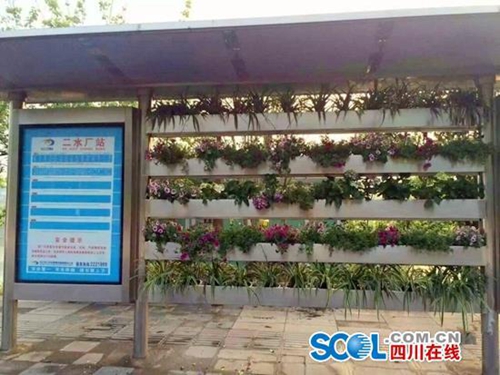 内江首座园林式公交站 不到2天绿植被盗空(图1) 内江首座园林式公交站 不到2天绿植被盗空(图1)